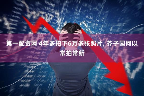 第一配资网 4年多拍下6万多张照片, 芥子园何以常拍常新