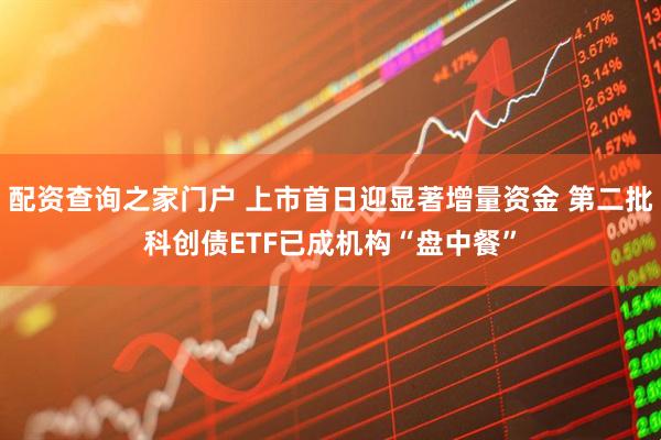 配资查询之家门户 上市首日迎显著增量资金 第二批科创债ETF已成机构“盘中餐”